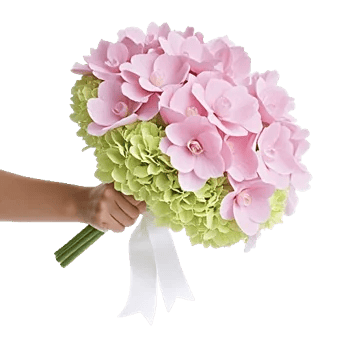 Serene Petal Harmony