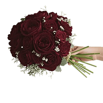 Peony Petal Harmony