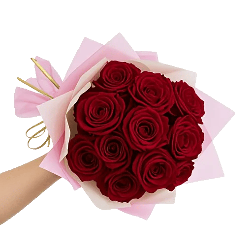 Crimson Rose Elegance