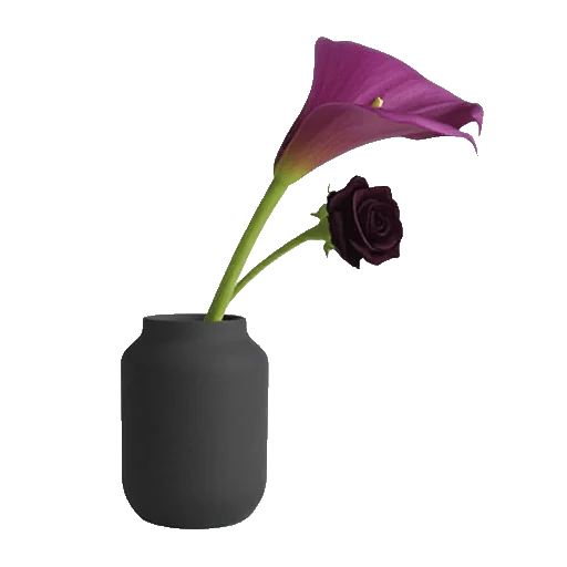 Elegant Calla Lilies