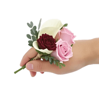 Elegant Calla Lilies