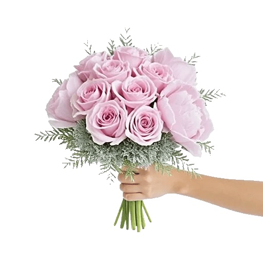 Pastel Pink Roses