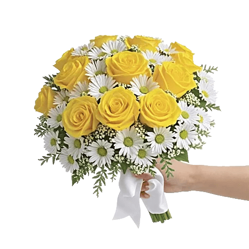 Blossom Harmony Display