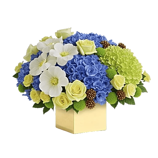 Ivory Blossom Radiance