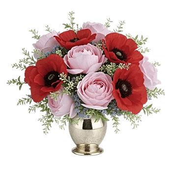 Petal Radiance Bliss