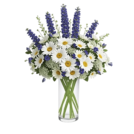 Daisy Meadow Spread