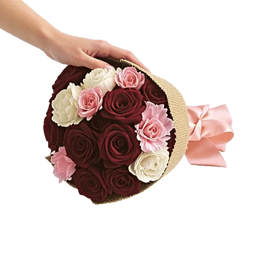 Blushing Rose Symphony