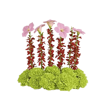 Delicate Petal Cascade