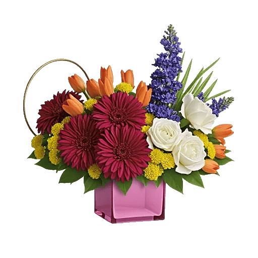 Petal Radiance Bliss