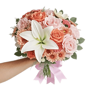 Blushing Rose Symphony