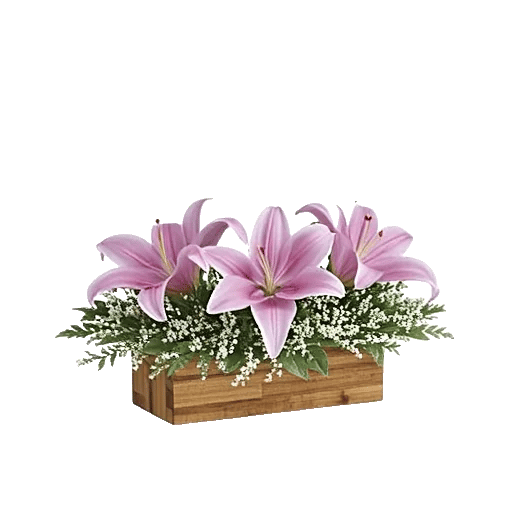 Graceful Lily Display