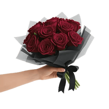 Crimson Rose Elegance