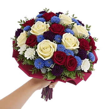 Crimson Rose Elegance