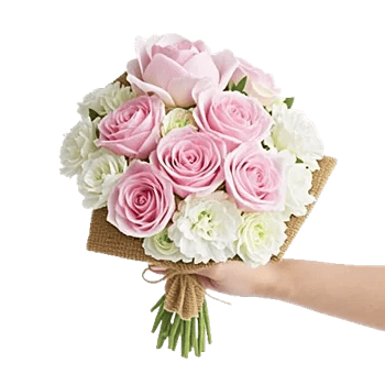 Pastel Pink Roses