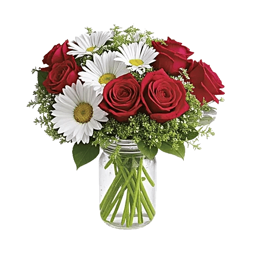 Tulip Rose Mix