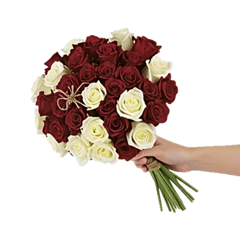 Crimson Rose Elegance