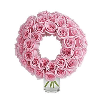 Blushing Rose Symphony