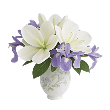 Ivory Blossom Radiance