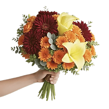 Elegant Calla Lilies