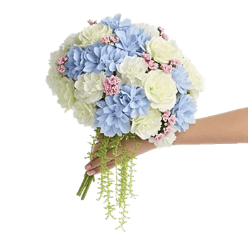 Delicate Petal Cascade