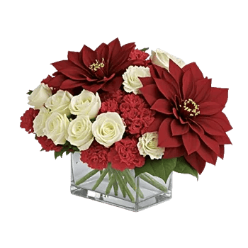 Delicate Petal Cascade