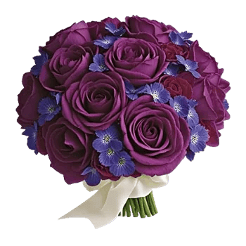 Petal Grace Harmony