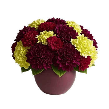 Crimson Blossom Harmony