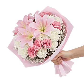 Blushing Rose Symphony