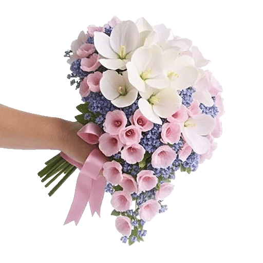 Delicate Petal Cascade