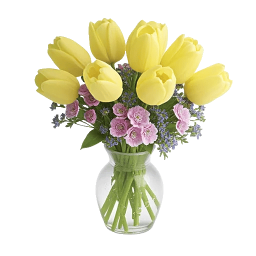 Velvet Tulip Display