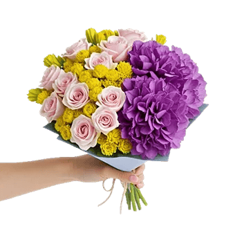 Serene Petal Harmony