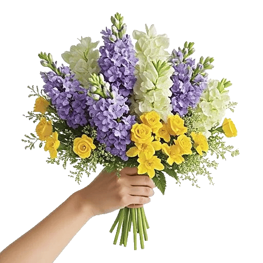 Blossom Harmony Display