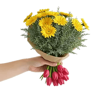 Blossom Harmony Display