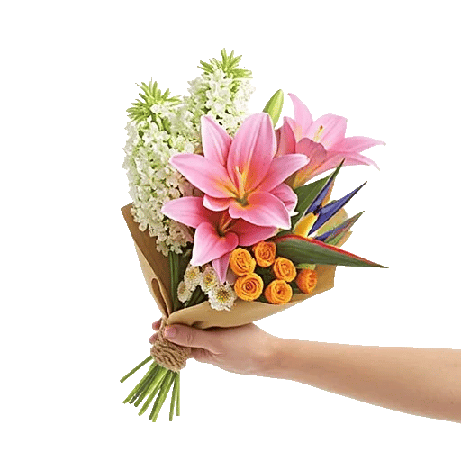 Blossom Harmony Display