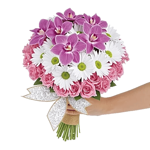 Serenity Orchid Bloom