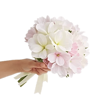 Delicate Petal Cascade