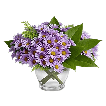 Lavender Bloom Grace