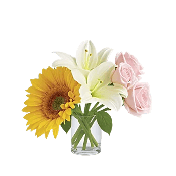 Blossom Harmony Display