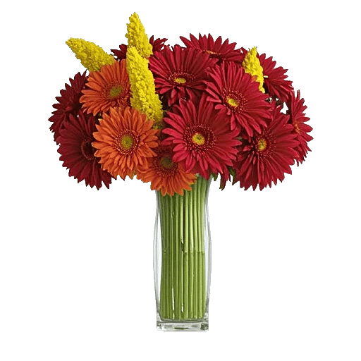 Petal Radiance Bliss