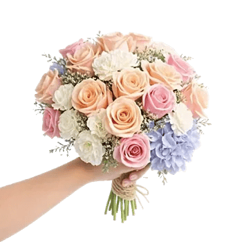 Pastel Pink Roses