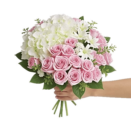 Serene Petal Harmony