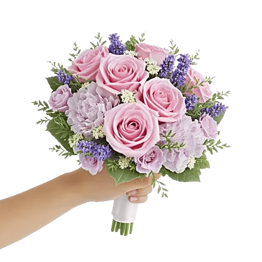 Pastel Pink Roses