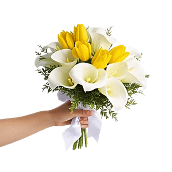 Elegant Calla Lilies