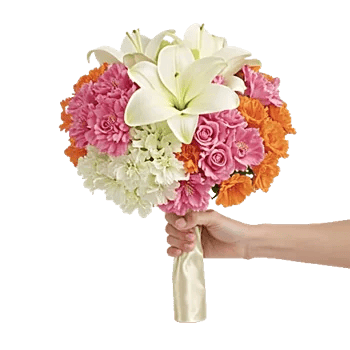 Graceful Lily Display