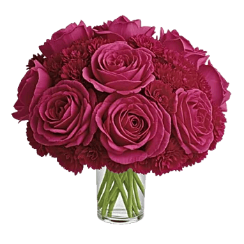 Petal Radiance Bliss
