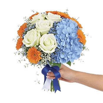 Serene Petal Harmony