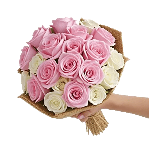 Pink Pastel Roses