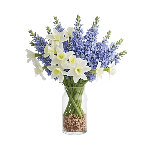 Ivory Blossom Radiance