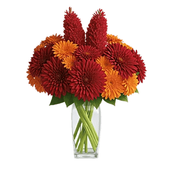 Crimson Blossom Harmony