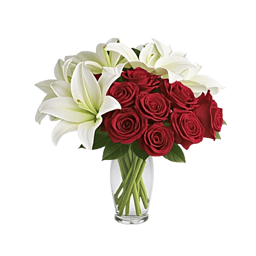 Crimson Rose Elegance